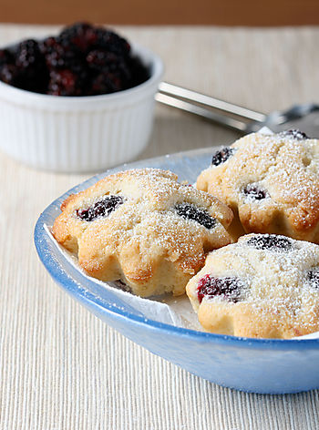 Bolinhos de Ollalieberry