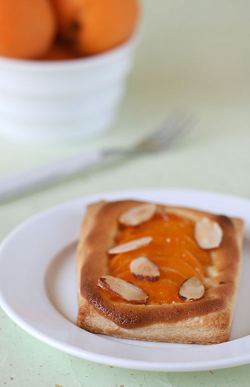Apricottart3