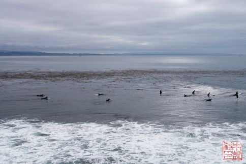 surfistas de santa cruz 