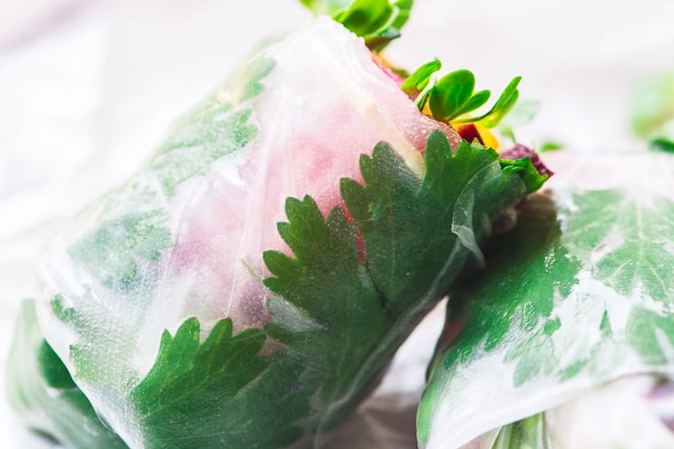 Esses refrescantes Rainbow Summer Rolls são como uma brisa fresca em um dia quente e ganham pontos de bônus por se adaptar a quase qualquer dieta que você esteja tomando, de pouco carboidrato e sem glúten, a veganos, observadores de Paleo, todo 30 e peso ~ # ⠀⠀⠀⠀⠀⠀⠀⠀⠀⠀⠀⠀⠀⠀⠀⠀⠀⠀⠀⠀⠀⠀⠀⠀⠀⠀⠀⠀⠀⠀⠀⠀⠀⠀⠀⠀⠀⠀⠀⠀⠀⠀⠀⠀⠀⠀⠀⠀⠀⠀⠀⠀⠀⠀⠀⠀⠀⠀⠀⠀⠀⠀⠀⠀⠀⠀⠀⠀⠀⠀⠀⠀⠀⠀⠀⠀⠀⠀⠀ rolos de verão arco-íris