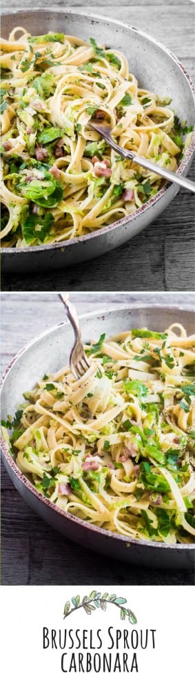A couve de Bruxelas Carbonara é uma refeição agradável e reconfortante de 30 minutos que também é boa para você.  ~ theviewfromgreatisland.com