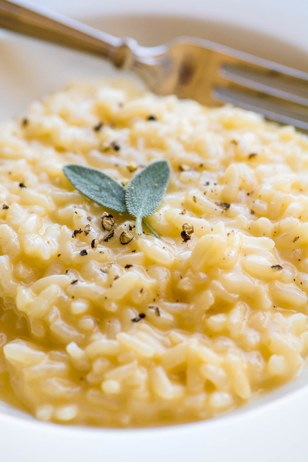 Risoto instantâneo de queijo cheddar com sálvia fresca em tigela branca com garfo