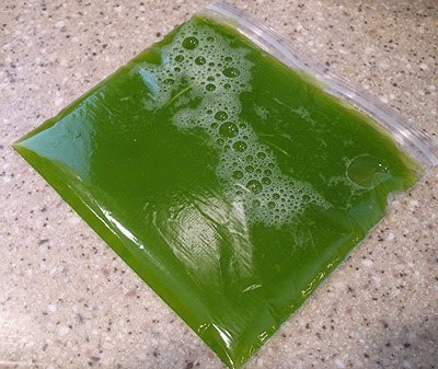suco de abobrinha Suco de abobrinha