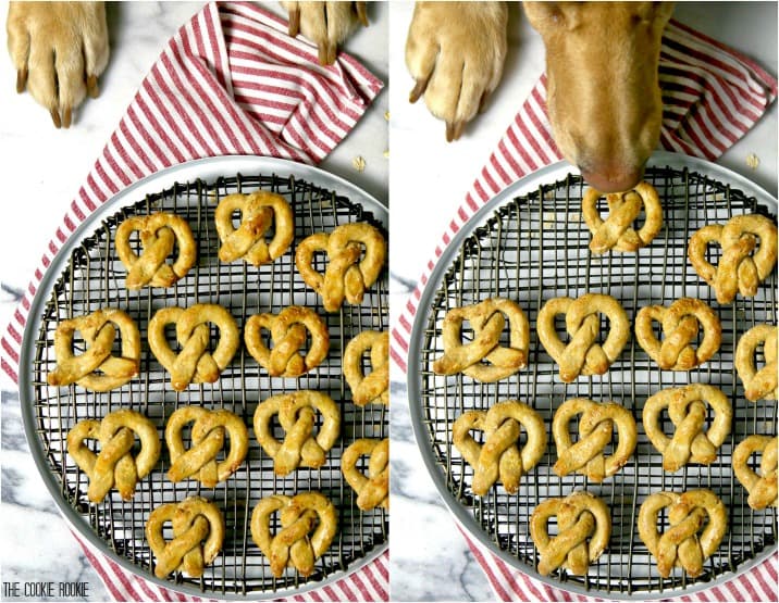 Biscoitos de aveia e pretzel para cães! SOMENTE QUATRO INGREDIENTES! Eles cheiram bem, são fáceis e farão a vida do seu filhote muito feliz!