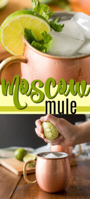 imagem de pino de mula de moscovo