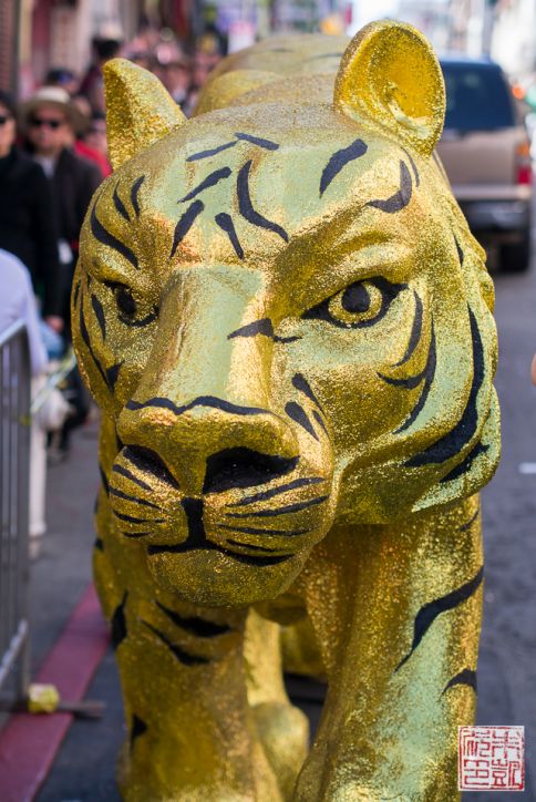 Tigre dourado de Chinatown 
