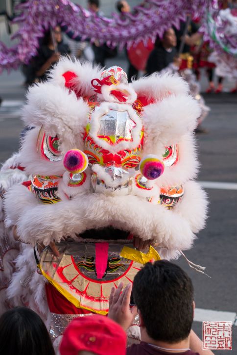 CNY desfile cabeça de leão