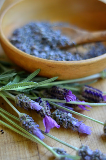 lavanda fresca para xarope de lavanda simples