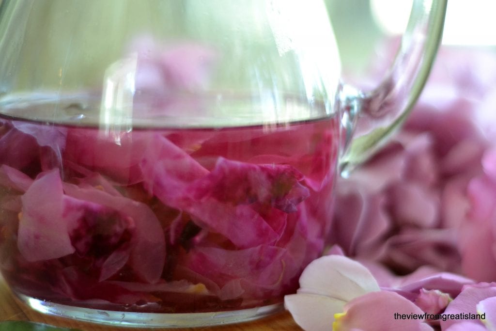 Como fazer xaropes simples de lavanda e rosa caseiros