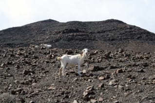 48 Horas en Fuerteventura