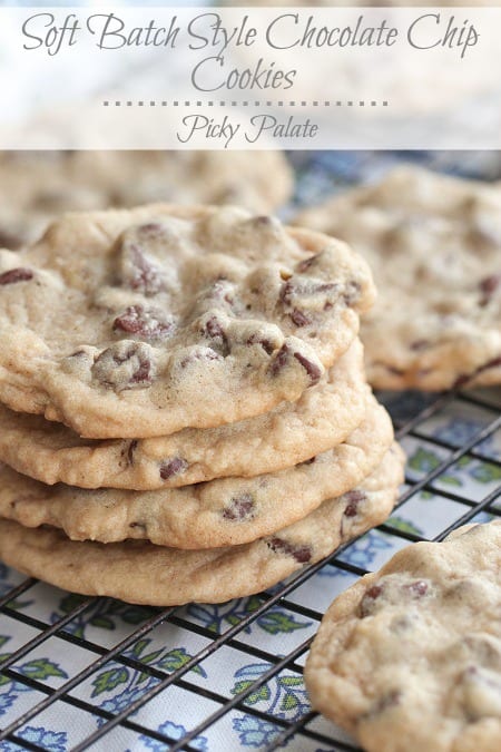 Galletas de chispas de chocolate de estilo de lote suave