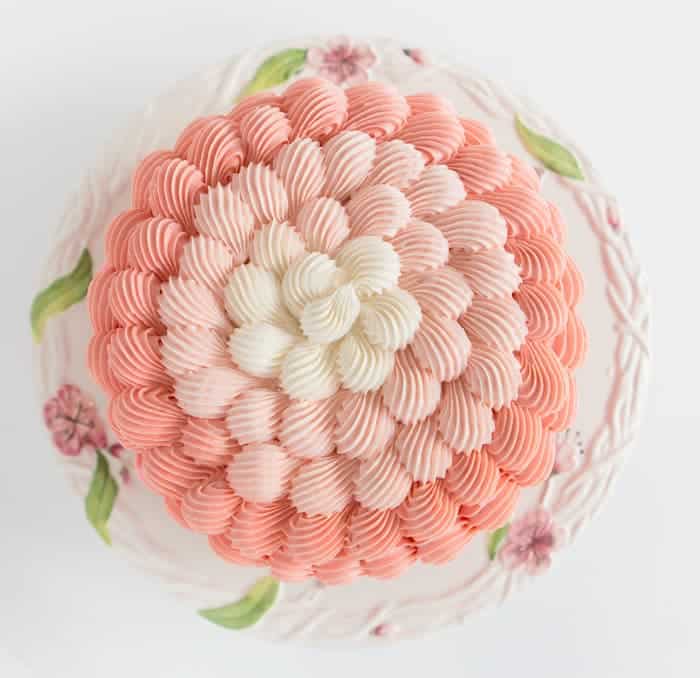 Pastel de Concha Rosa Ombre