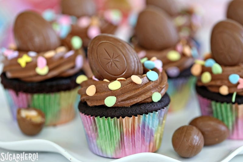 Grupo de cupcakes de chocolate con glaseado de chocolate en una bandeja blanca