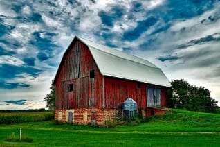 Nuevo estudio de Harvard sobre cómo los alimentos viejos acortan su vida útil