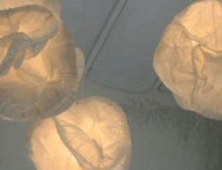 Taller de fotografia de alimentos