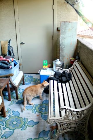 Rehabilitación en el patio ~ La verdad sucia