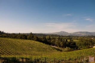 {Sonoma} Un viaje por el camino del vino
