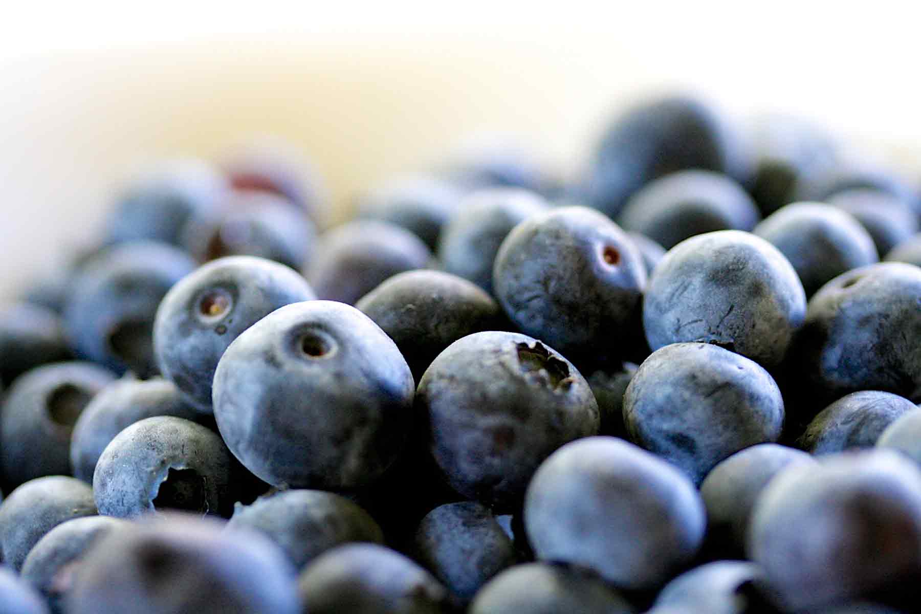 Blueberries