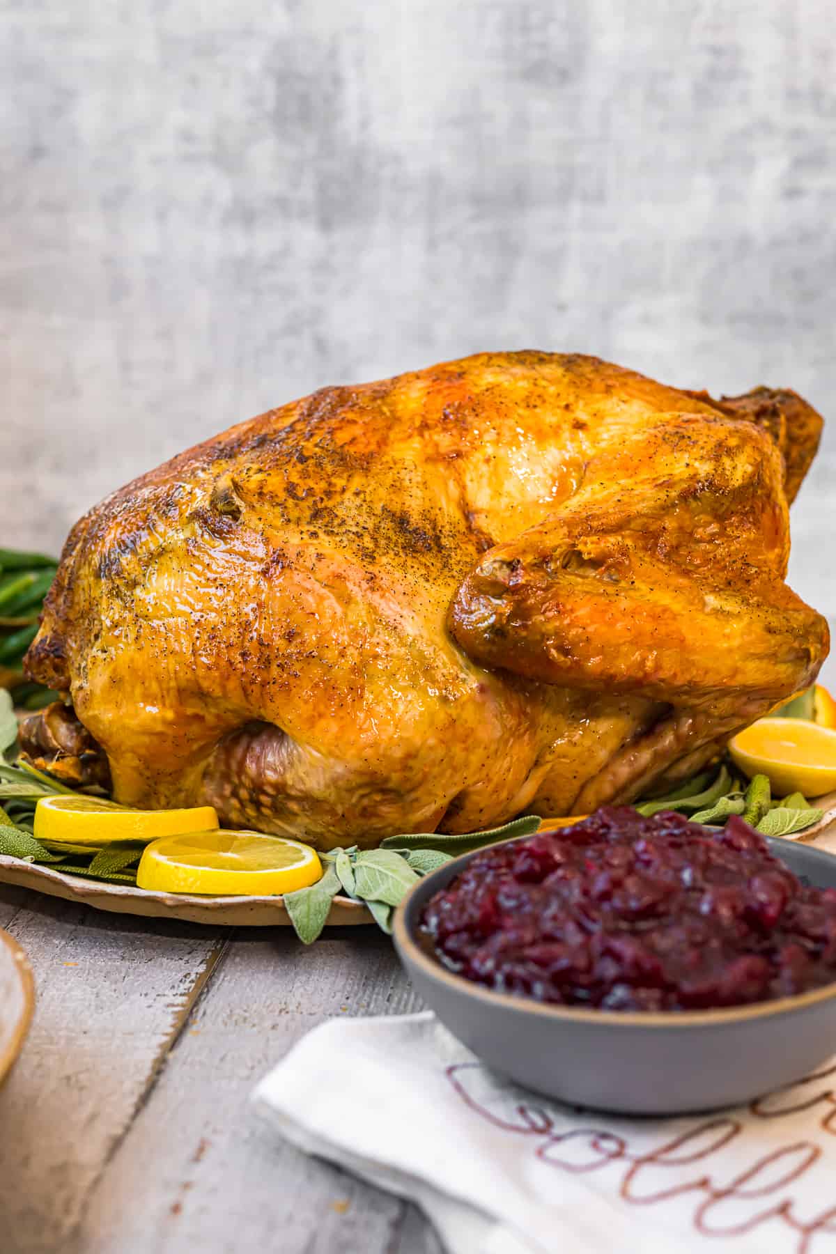 Easy Thanksgiving Turkey (Roast Turkey Recipe)