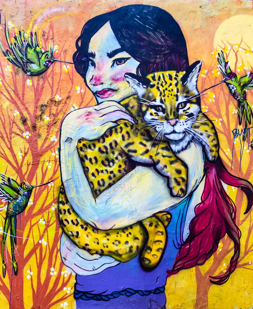 En promenad genom grafiterna i Valparaíso Chile