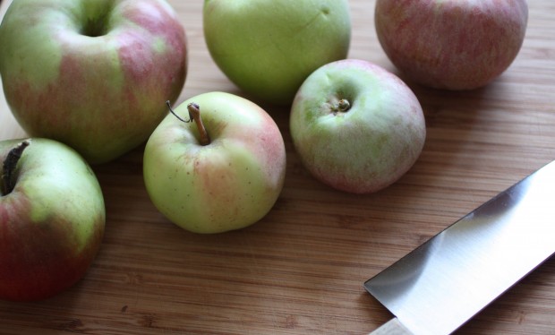 Una revisión de un día en Hudson Valley recogiendo manzanas. Después de llegar a casa, preparé salsa de manzana casera que es rápida y fácil de hacer.
