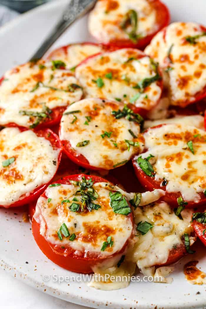 Broiled Tomatoes on a white plate