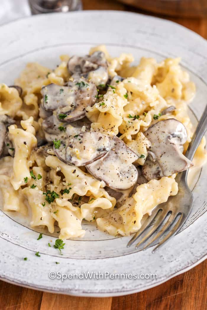 Campanelle With Creamy Mushroom Sauce on a plate with a fork