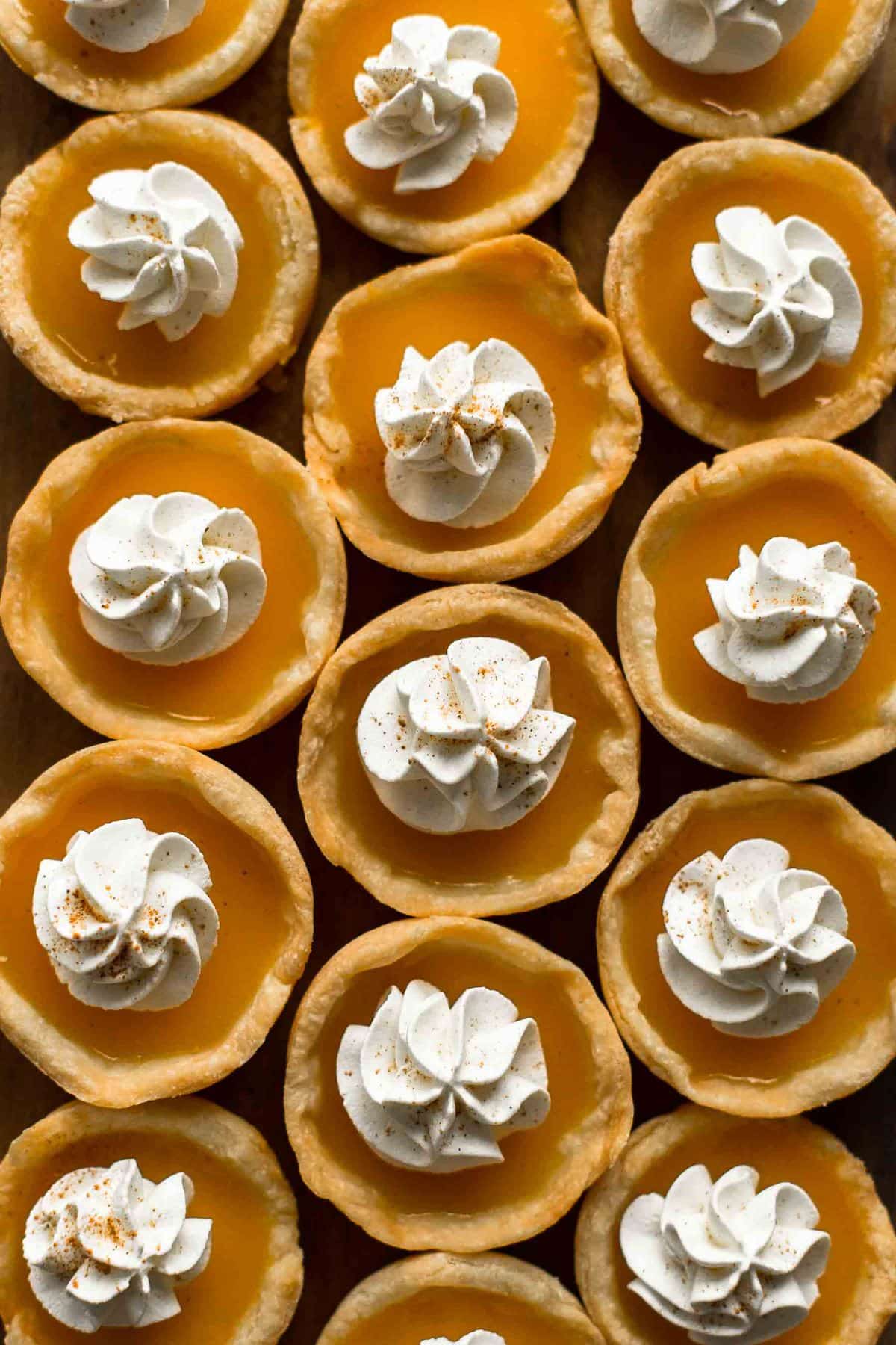 pumpkin pie jello shots topped with whipped cream