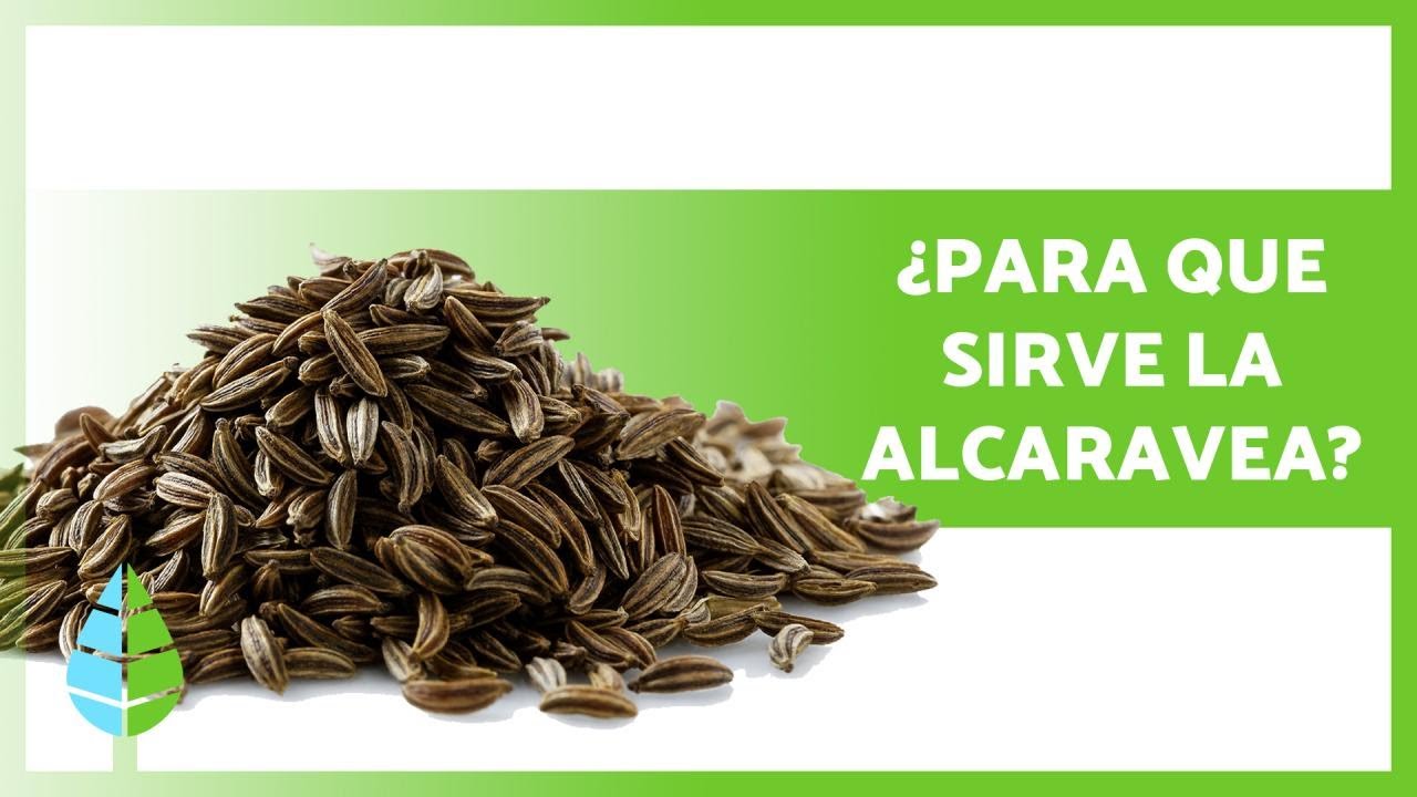 como hacer alcaravea