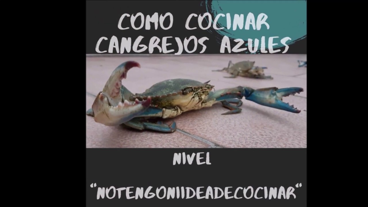 como hacer cangrejo azul