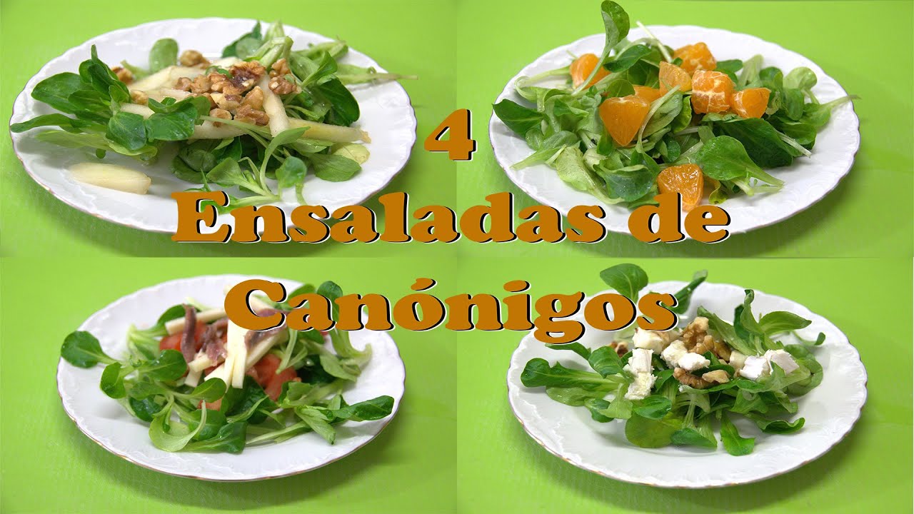 como hacer canonigos