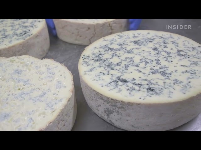 como hacer gorgonzola