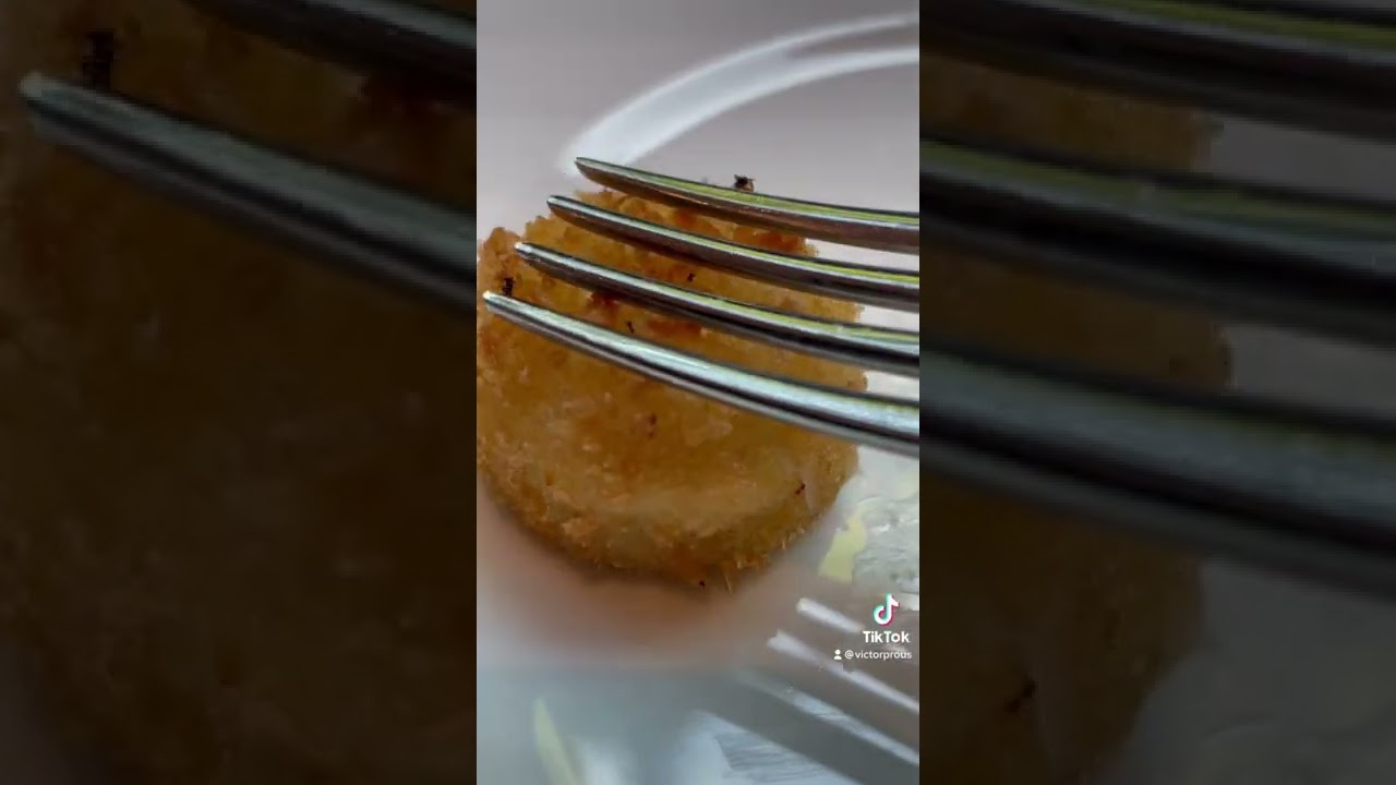 Cómo hacer molino de pez: 5 pasos sencillos y efectivos 5 como hacer molino de pez