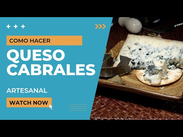Como hacer queso cabrales: 5 pasos sencillos y deliciosos 5 como hacer queso cabrales