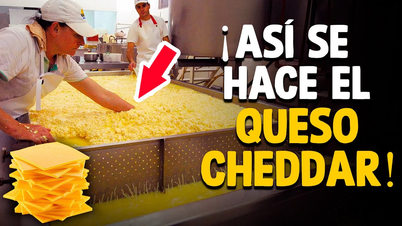 como hacer queso cheddar