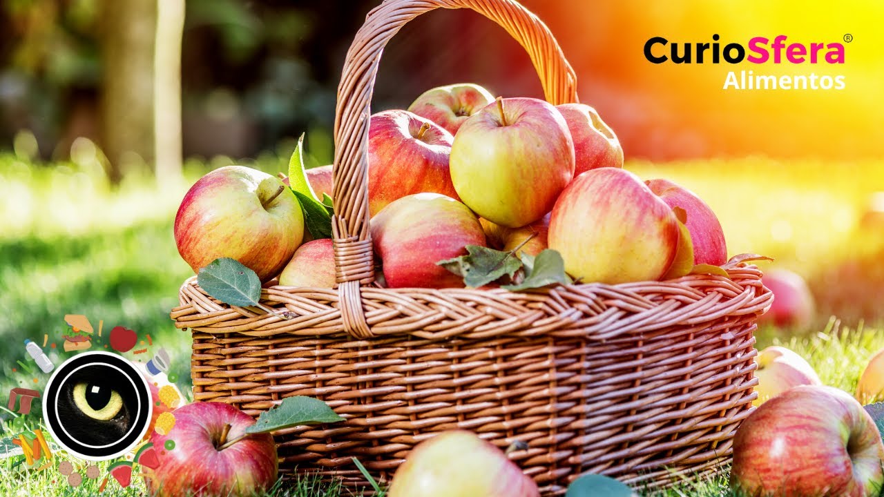 cuantas calorias tiene una manzana