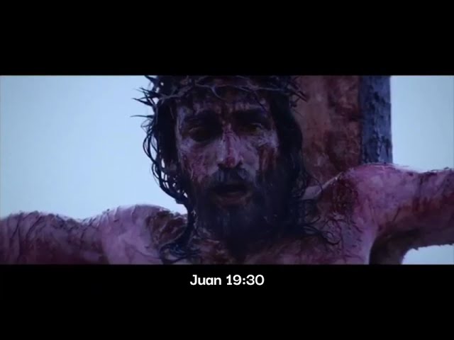 jesus en la cruz