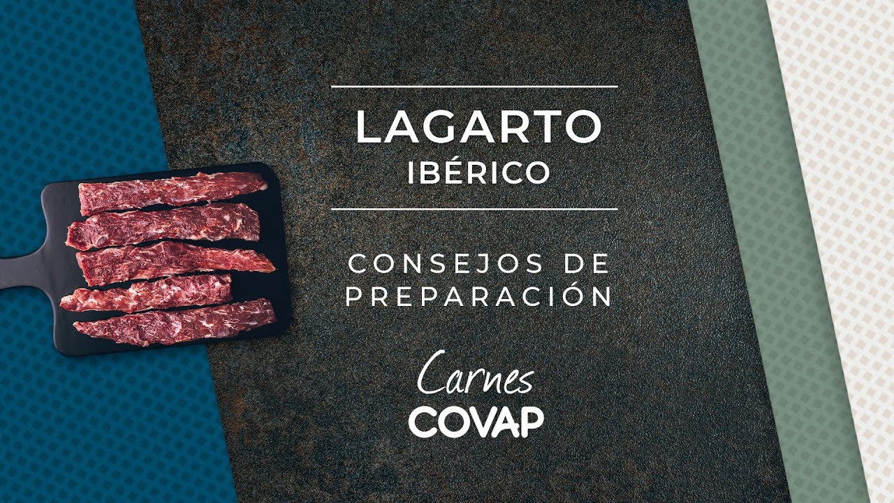 lagarto iberico