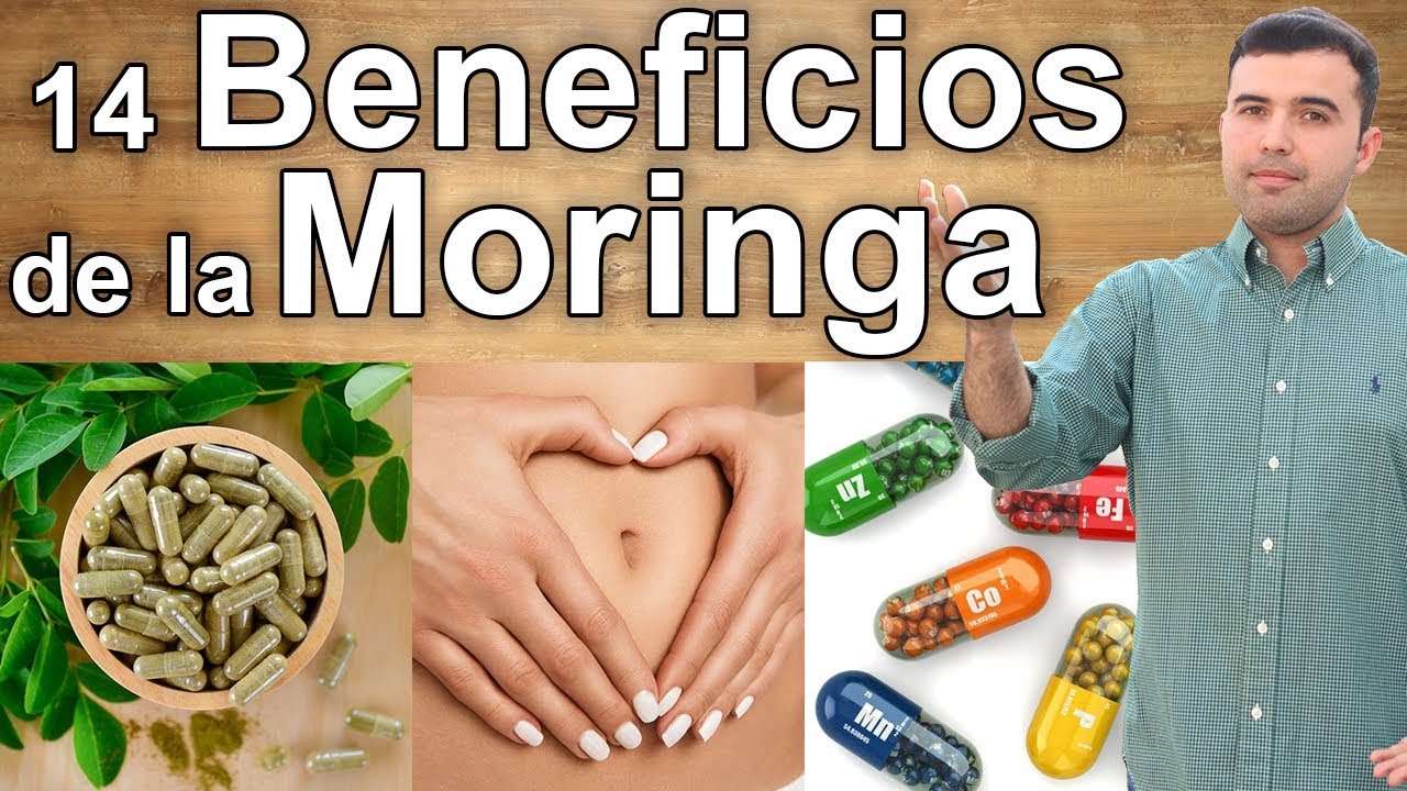moringa propiedades