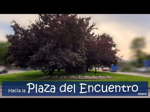 plaza del encuentro