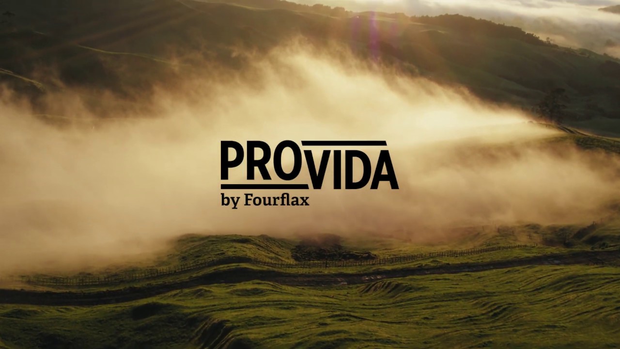 Provida: 7 razones para apoyar la vida en 2025 4 provida