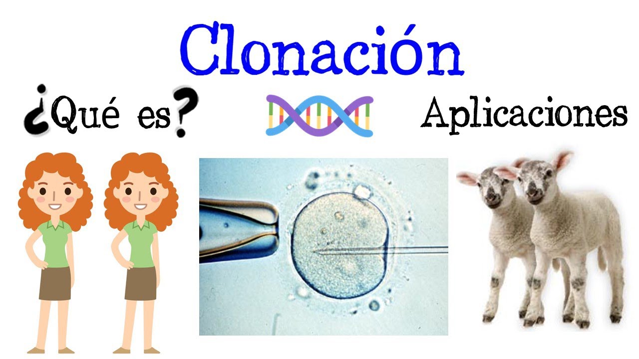 ¿Qué es la clonación? 5 datos sorprendentes que debes saber 1 que es la clonacion
