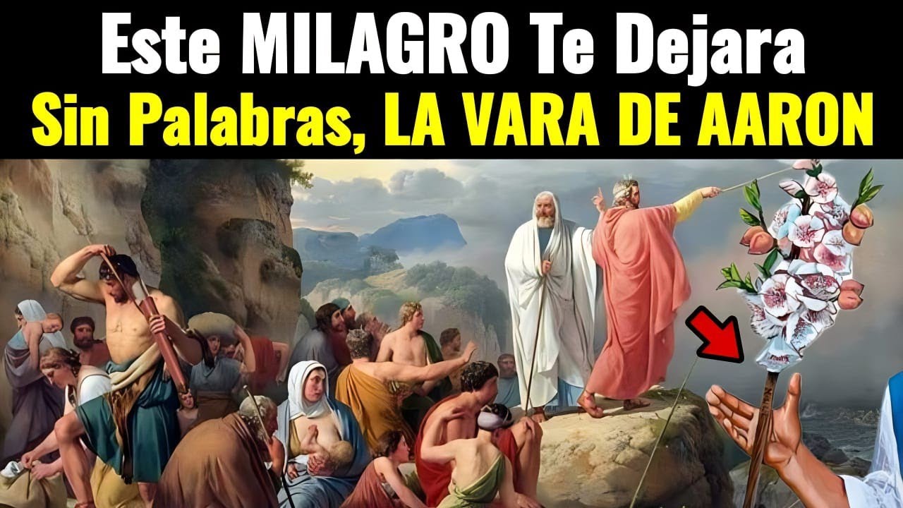 cual es el significado de la vara de aaron en la biblia