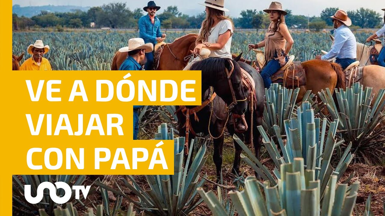 Día del Papa 2023: 7 ideas creativas para sorprenderlo 5 dia del papa 2023