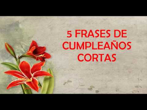 frases de feliz cumpleaños