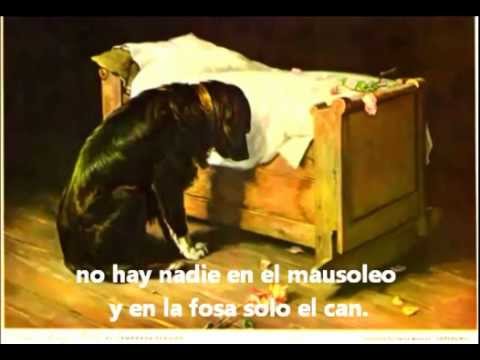 humanidad